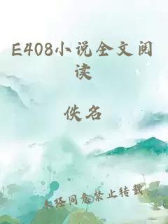E408小说全文阅读